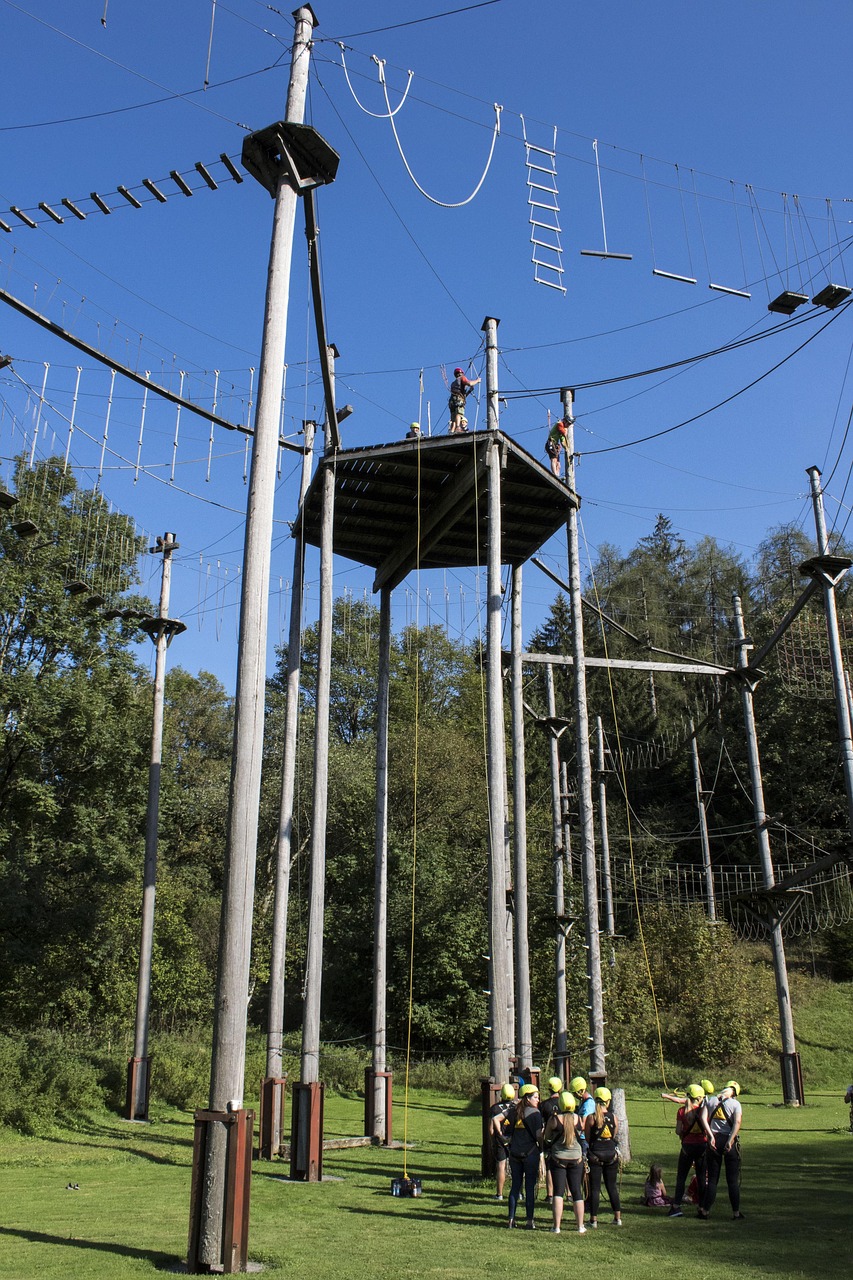 high ropes course, nature, actors, meadow, sunny, team training, heaven, blue, trees